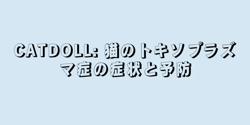 CATDOLL: 猫のトキソプラズマ症の症状と予防