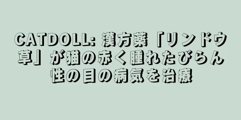 CATDOLL: 漢方薬「リンドウ草」が猫の赤く腫れたびらん性の目の病気を治療