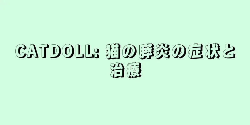 CATDOLL: 猫の膵炎の症状と治療