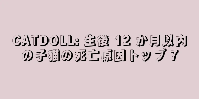 CATDOLL: 生後 12 か月以内の子猫の死亡原因トップ 7