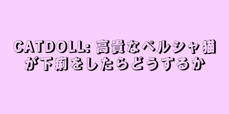 CATDOLL: 高貴なペルシャ猫が下痢をしたらどうするか