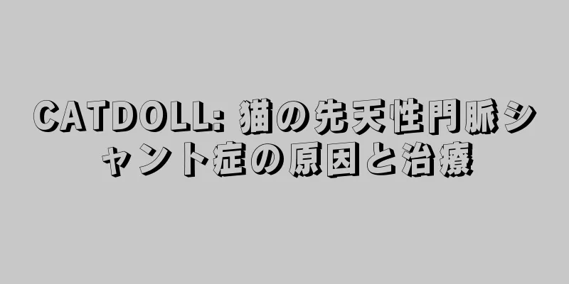 CATDOLL: 猫の先天性門脈シャント症の原因と治療