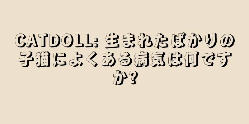 CATDOLL: 生まれたばかりの子猫によくある病気は何ですか?