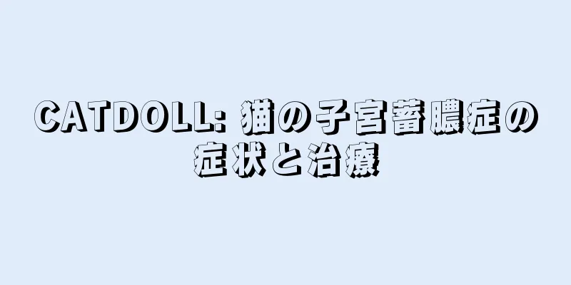 CATDOLL: 猫の子宮蓄膿症の症状と治療