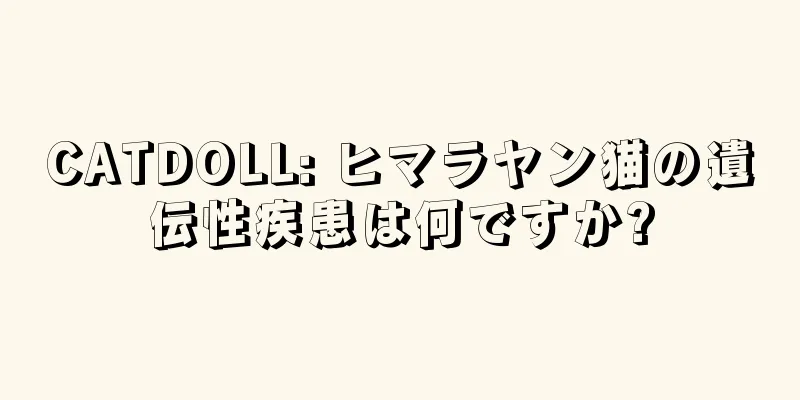 CATDOLL: ヒマラヤン猫の遺伝性疾患は何ですか?