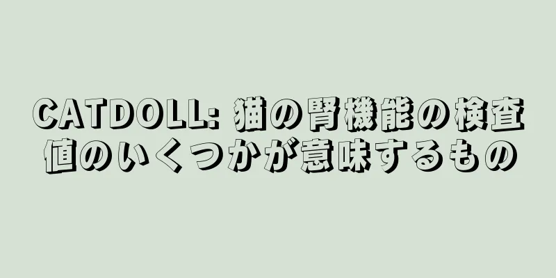 CATDOLL: 猫の腎機能の検査値のいくつかが意味するもの