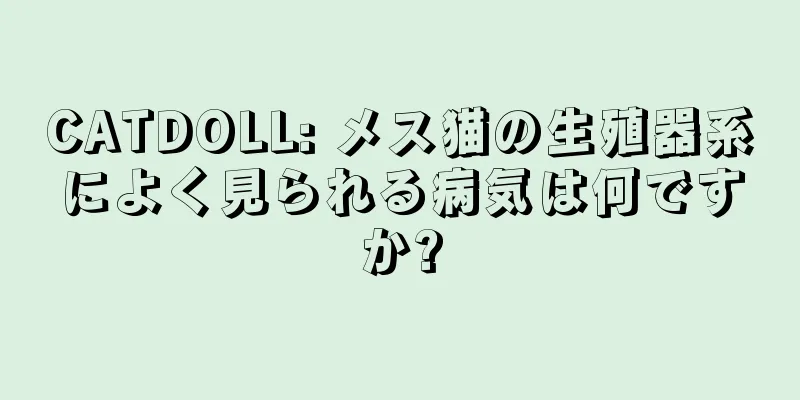 CATDOLL: メス猫の生殖器系によく見られる病気は何ですか?