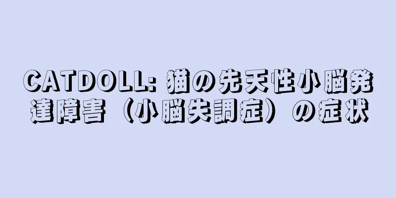 CATDOLL: 猫の先天性小脳発達障害（小脳失調症）の症状