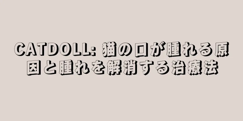 CATDOLL: 猫の口が腫れる原因と腫れを解消する治療法