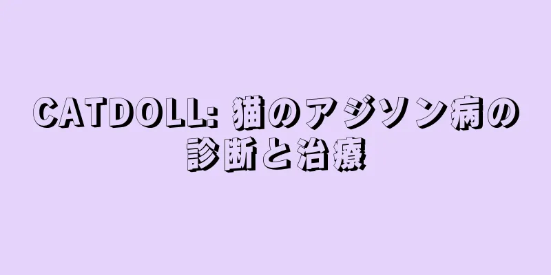 CATDOLL: 猫のアジソン病の診断と治療