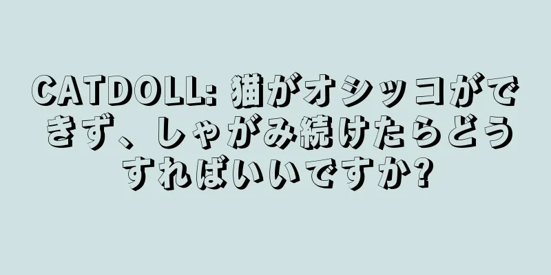 CATDOLL: 猫がオシッコができず、しゃがみ続けたらどうすればいいですか?