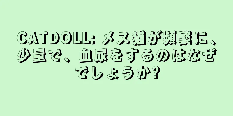 CATDOLL: メス猫が頻繁に、少量で、血尿をするのはなぜでしょうか?