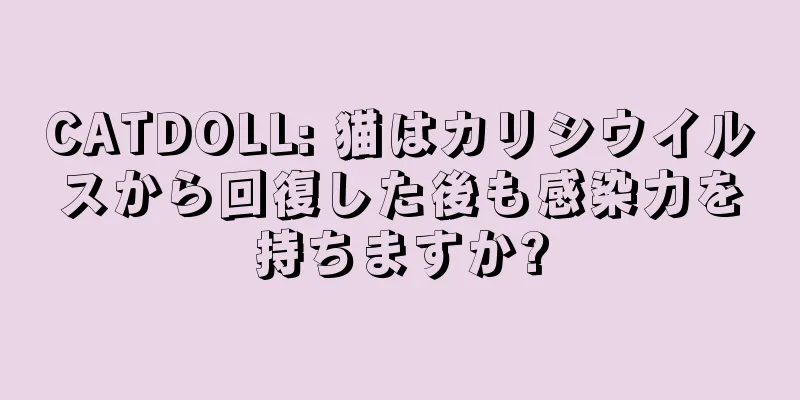 CATDOLL: 猫はカリシウイルスから回復した後も感染力を持ちますか?