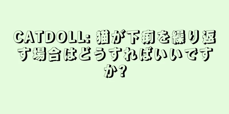 CATDOLL: 猫が下痢を繰り返す場合はどうすればいいですか?