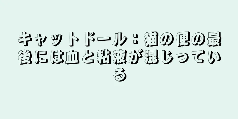 キャットドール：猫の便の最後には血と粘液が混じっている