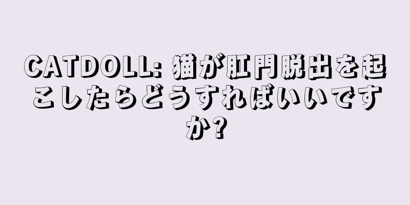 CATDOLL: 猫が肛門脱出を起こしたらどうすればいいですか?