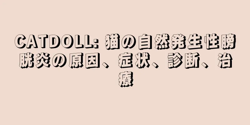 CATDOLL: 猫の自然発生性膀胱炎の原因、症状、診断、治療