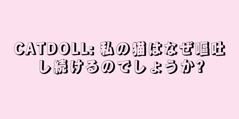 CATDOLL: 私の猫はなぜ嘔吐し続けるのでしょうか?