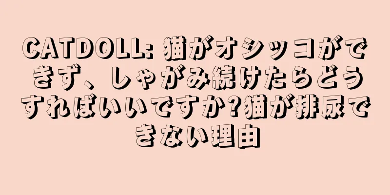 CATDOLL: 猫がオシッコができず、しゃがみ続けたらどうすればいいですか?猫が排尿できない理由