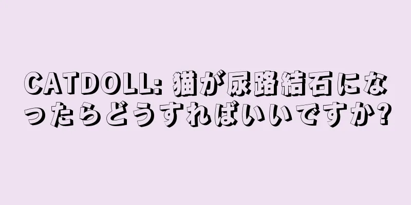 CATDOLL: 猫が尿路結石になったらどうすればいいですか?