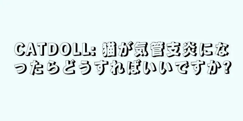 CATDOLL: 猫が気管支炎になったらどうすればいいですか?