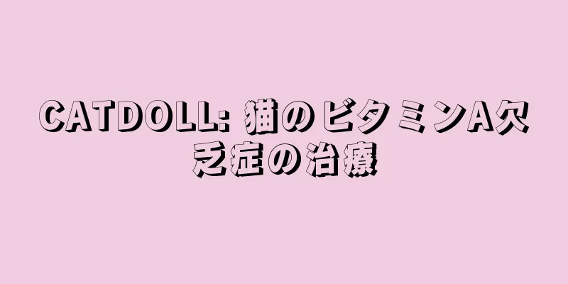 CATDOLL: 猫のビタミンA欠乏症の治療