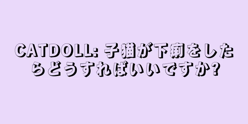CATDOLL: 子猫が下痢をしたらどうすればいいですか?