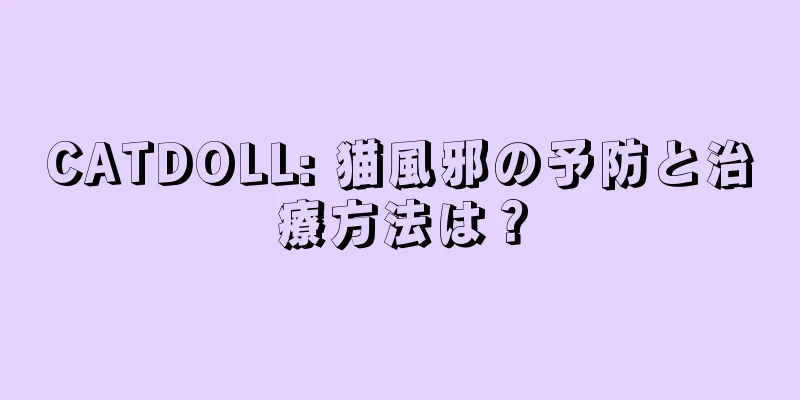 CATDOLL: 猫風邪の予防と治療方法は？