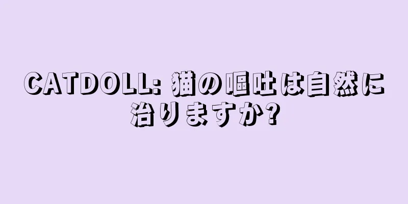 CATDOLL: 猫の嘔吐は自然に治りますか?