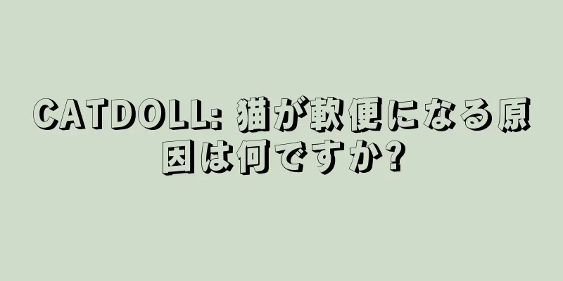 CATDOLL: 猫が軟便になる原因は何ですか?