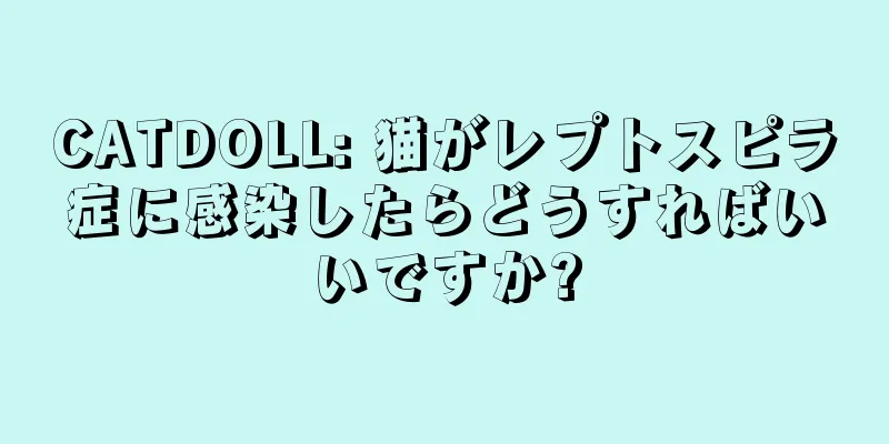 CATDOLL: 猫がレプトスピラ症に感染したらどうすればいいですか?