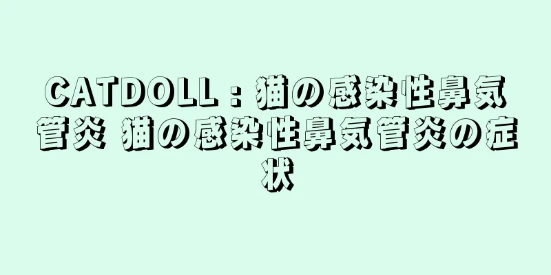 CATDOLL : 猫の感染性鼻気管炎 猫の感染性鼻気管炎の症状