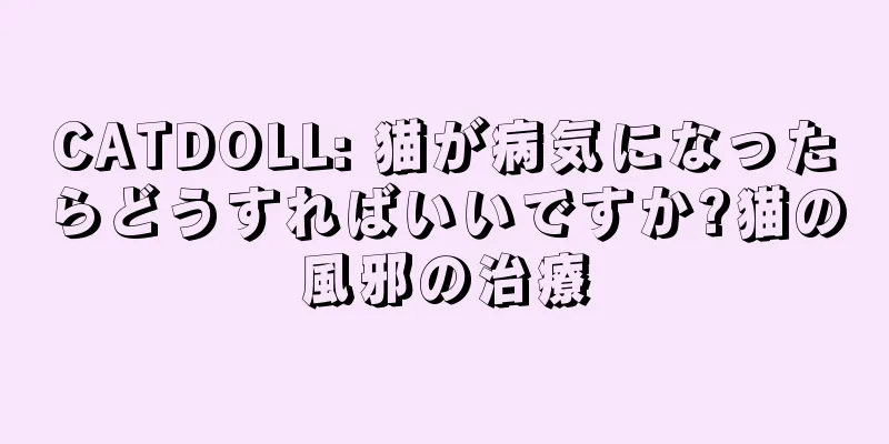 CATDOLL: 猫が病気になったらどうすればいいですか?猫の風邪の治療