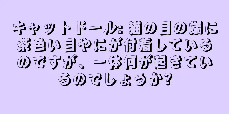 キャットドール: 猫の目の端に茶色い目やにが付着しているのですが、一体何が起きているのでしょうか?