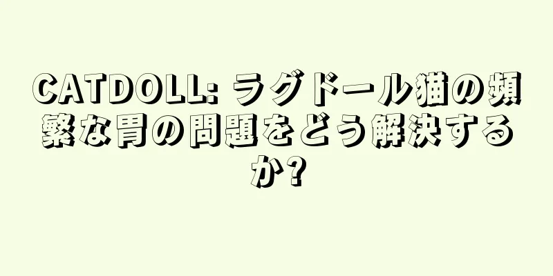 CATDOLL: ラグドール猫の頻繁な胃の問題をどう解決するか?