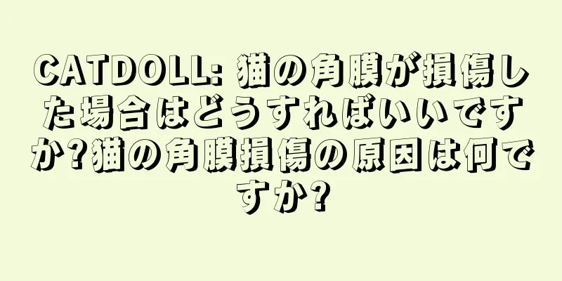 CATDOLL: 猫の角膜が損傷した場合はどうすればいいですか?猫の角膜損傷の原因は何ですか?