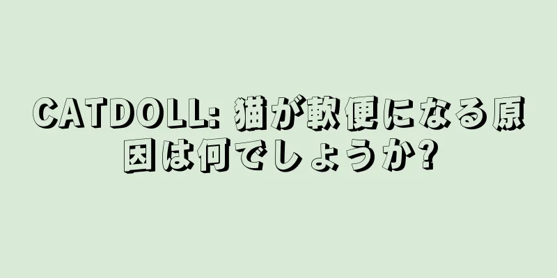 CATDOLL: 猫が軟便になる原因は何でしょうか?