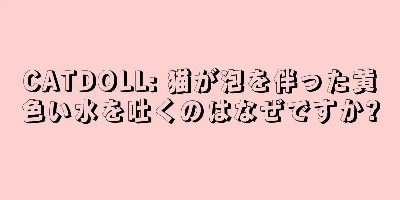 CATDOLL: 猫が泡を伴った黄色い水を吐くのはなぜですか?