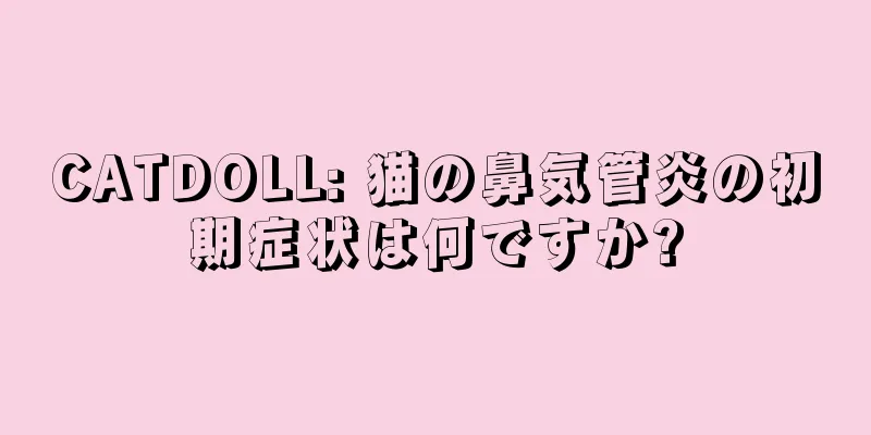 CATDOLL: 猫の鼻気管炎の初期症状は何ですか?