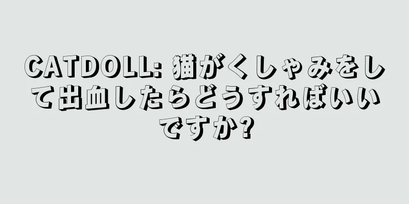 CATDOLL: 猫がくしゃみをして出血したらどうすればいいですか?
