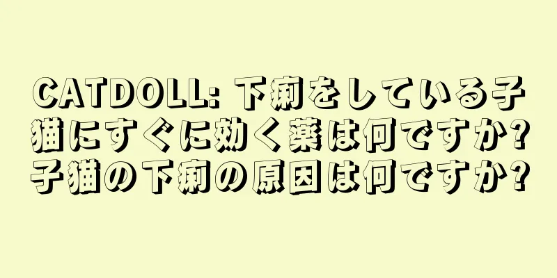 CATDOLL: 下痢をしている子猫にすぐに効く薬は何ですか?子猫の下痢の原因は何ですか?