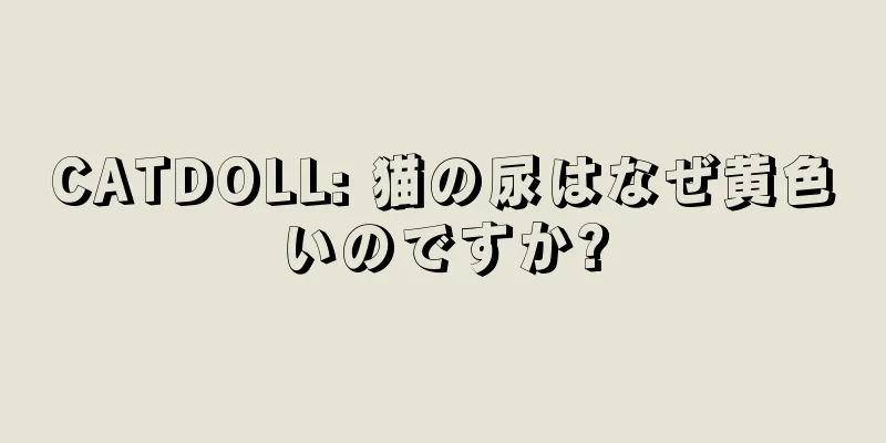 CATDOLL: 猫の尿はなぜ黄色いのですか?