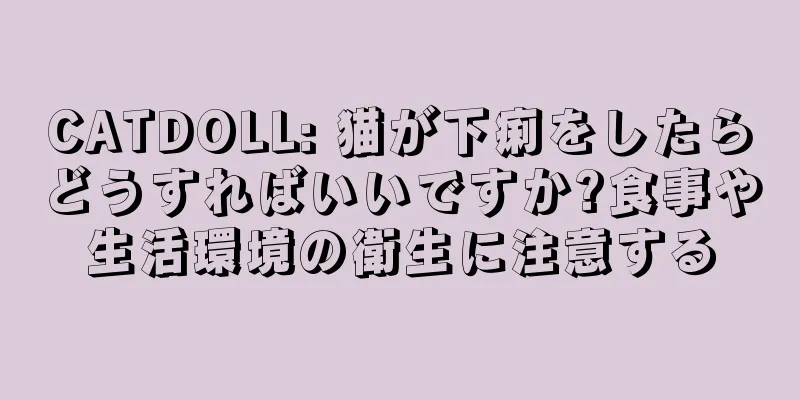 CATDOLL: 猫が下痢をしたらどうすればいいですか?食事や生活環境の衛生に注意する