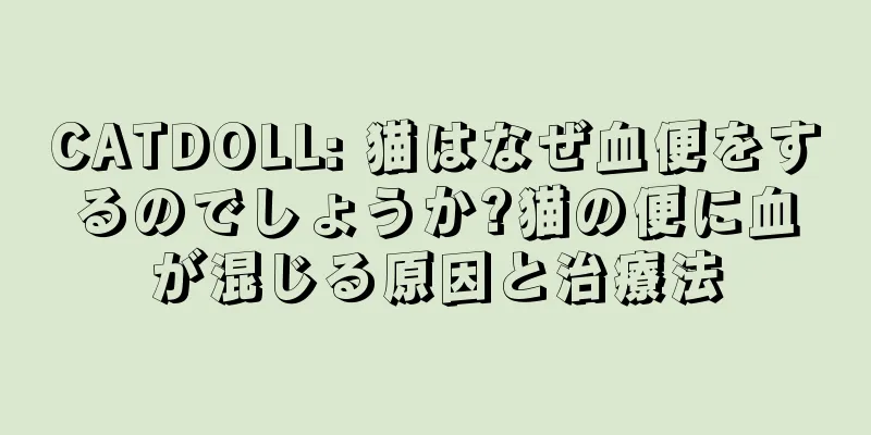 CATDOLL: 猫はなぜ血便をするのでしょうか?猫の便に血が混じる原因と治療法