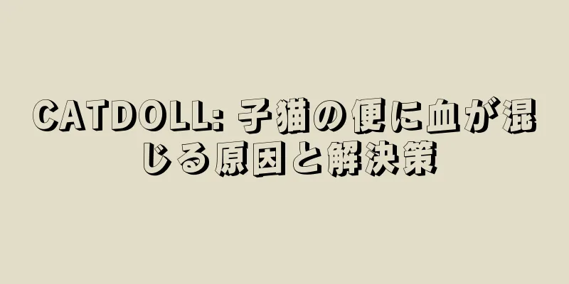 CATDOLL: 子猫の便に血が混じる原因と解決策
