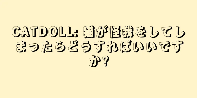 CATDOLL: 猫が怪我をしてしまったらどうすればいいですか?