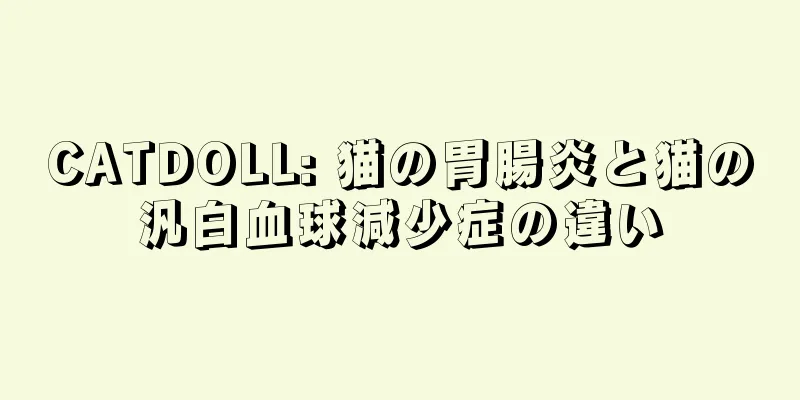 CATDOLL: 猫の胃腸炎と猫の汎白血球減少症の違い