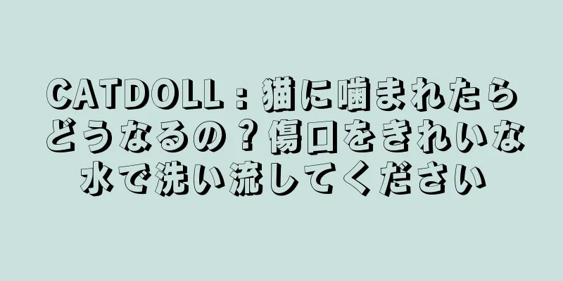 CATDOLL : 猫に噛まれたらどうなるの？傷口をきれいな水で洗い流してください