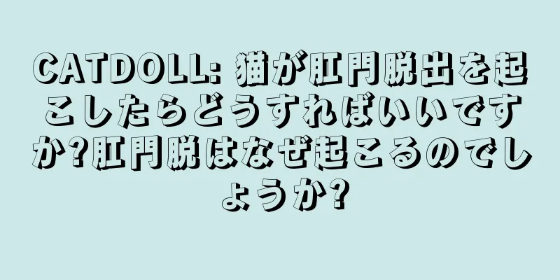 CATDOLL: 猫が肛門脱出を起こしたらどうすればいいですか?肛門脱はなぜ起こるのでしょうか?