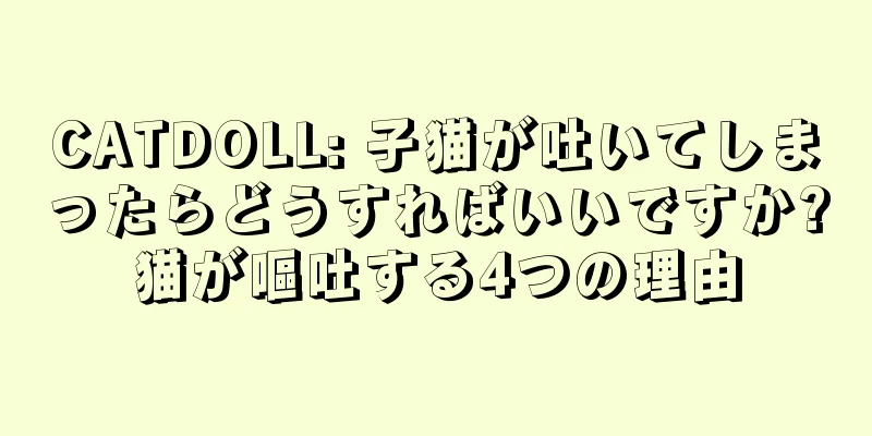 CATDOLL: 子猫が吐いてしまったらどうすればいいですか?猫が嘔吐する4つの理由